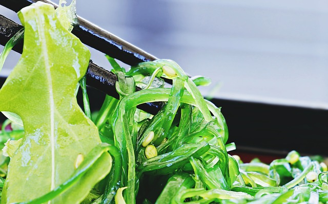 salad, chuka wakame, chopsticks, slimy texture