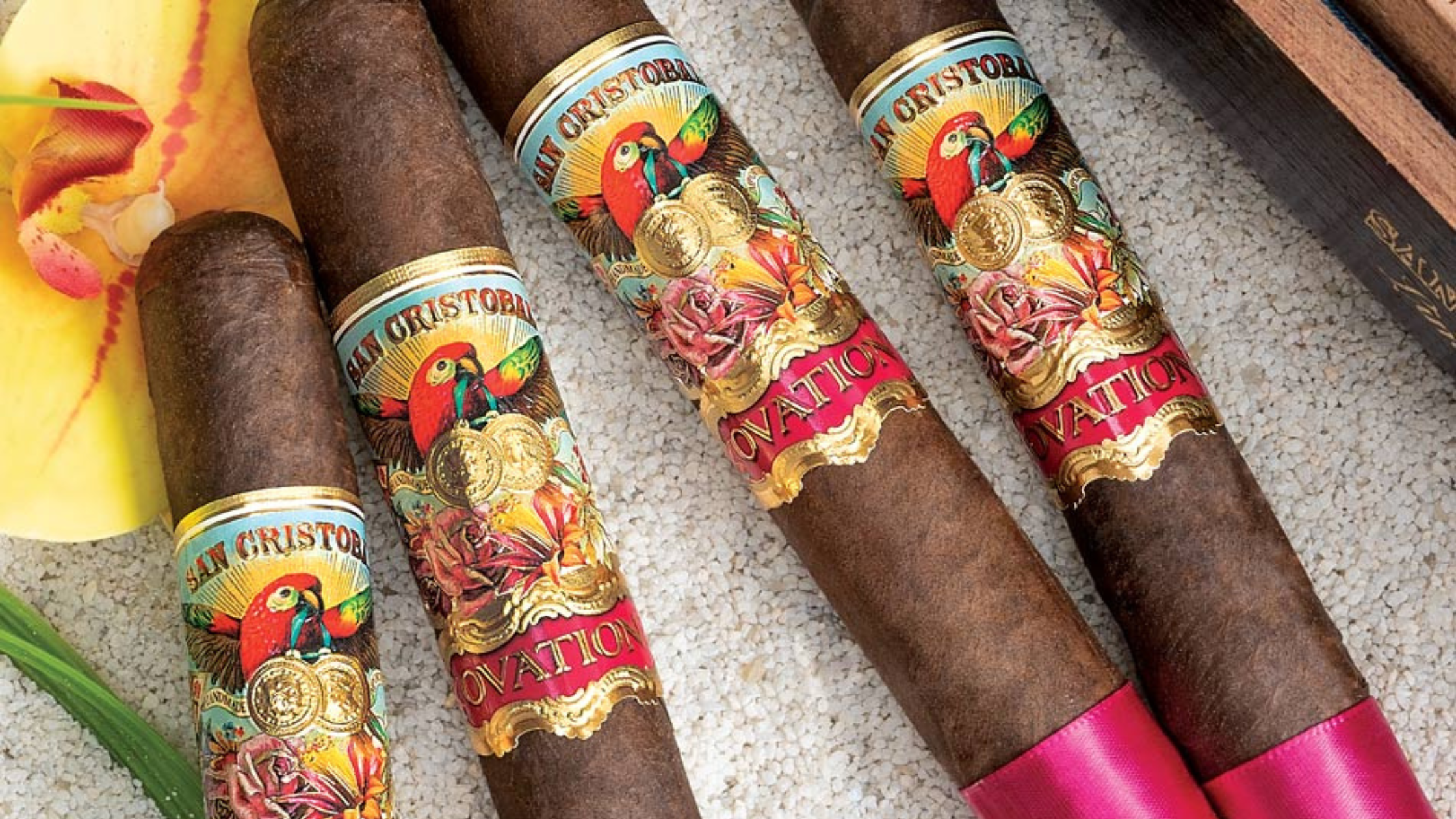 San Cristobal Ovation