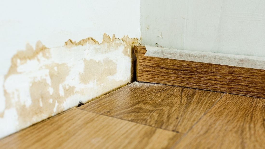 Close-up of water damage on walls near the floor, with visible mold stains on the drywall and wooden baseboard, indicating moisture damage and potential mold growth.