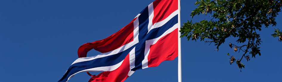 język norweski tłumaczenia online