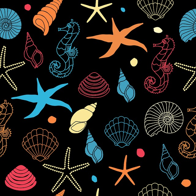 seahorse, starfish, seashell colored pencil artists