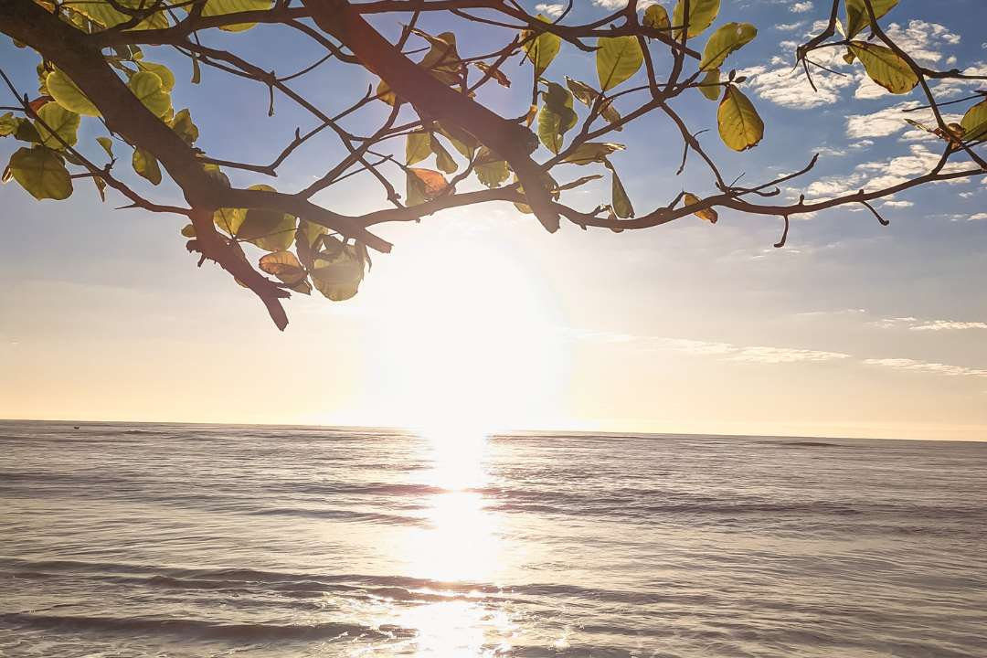 sunshine and beach, ocean, serum vitamin, body produces vitamin