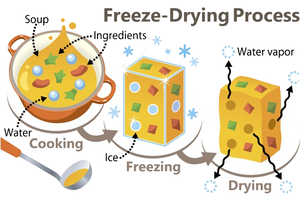 Process of Freeze-Drying