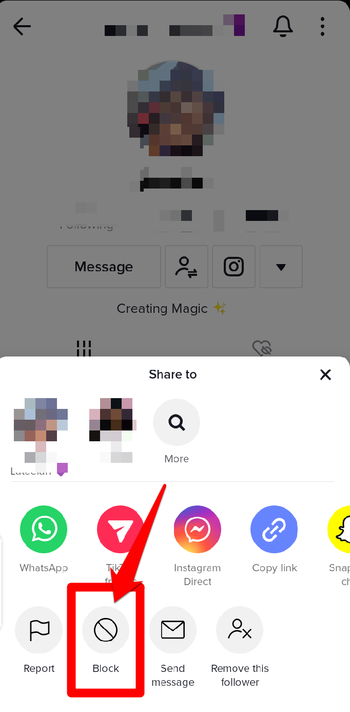 Picture showing how to block a TikTok user