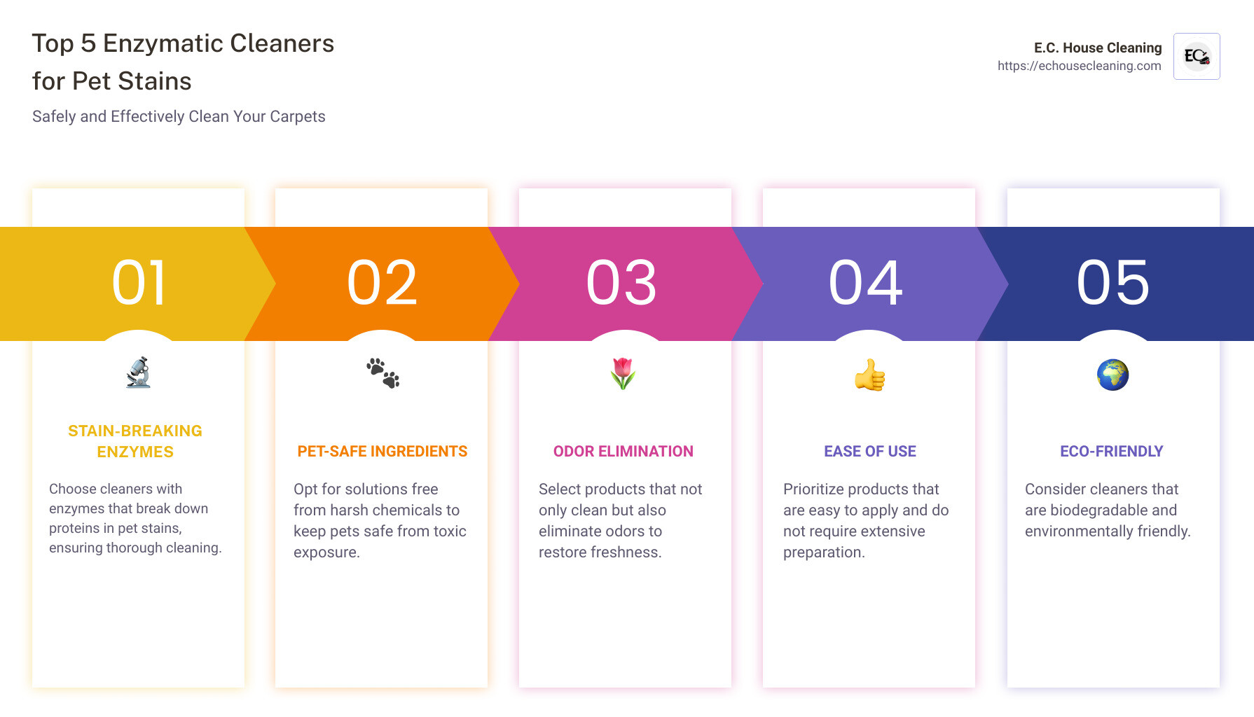 Infographic describing the best types of carpet cleaning solutions for pets, focusing on enzymatic cleaners and highlighting their benefits and usage tips. It also notes the importance of checking for non-toxic labels to ensure pet safety. - best carpet cleaning solution for pets infographic pillar-5-steps