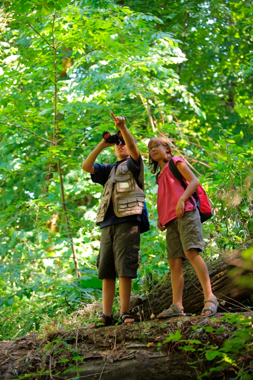 kids exploring nature