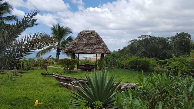 africa, zanzibar, hakuna matata