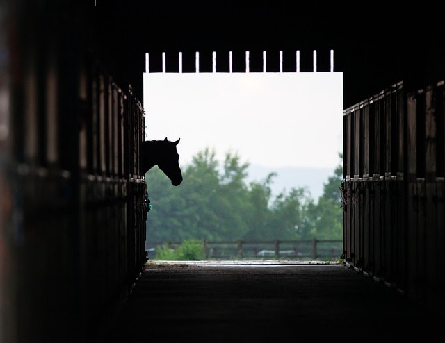 How Much Do Horse Stall Mats Cost?