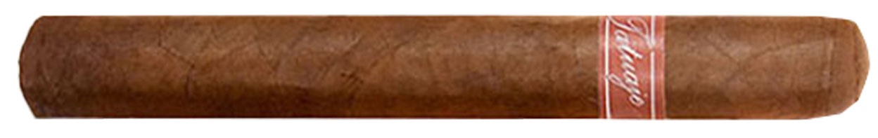 Detailed Breakdown of the Tatuaje Miami Noellas