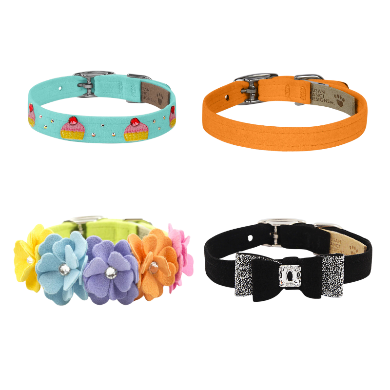 Image displaying a variety of colorful dog collars for selection.
