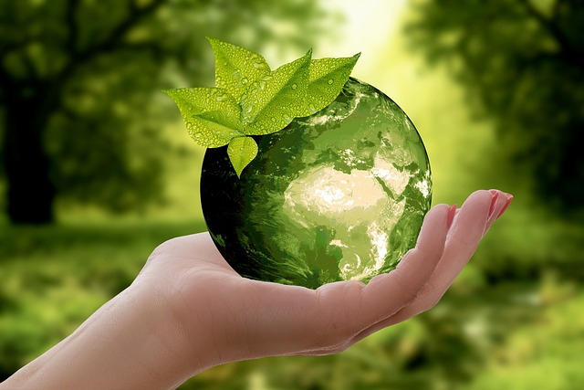 Das Unternehmen engagiert sich sehr stark für Nachhaltigkeit, damit die Kollektionen auch in Zukunft mit gutem Gewissen gekauft werden.