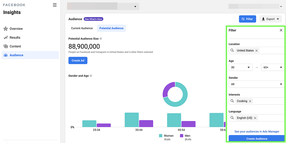 good niches for dropshipping - meta audience insights 