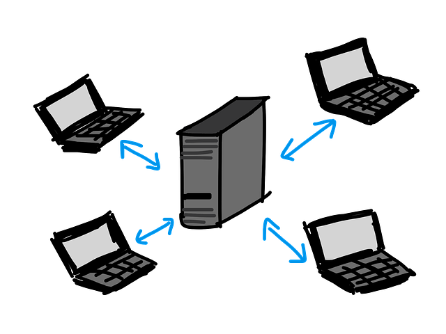 client, server, networking