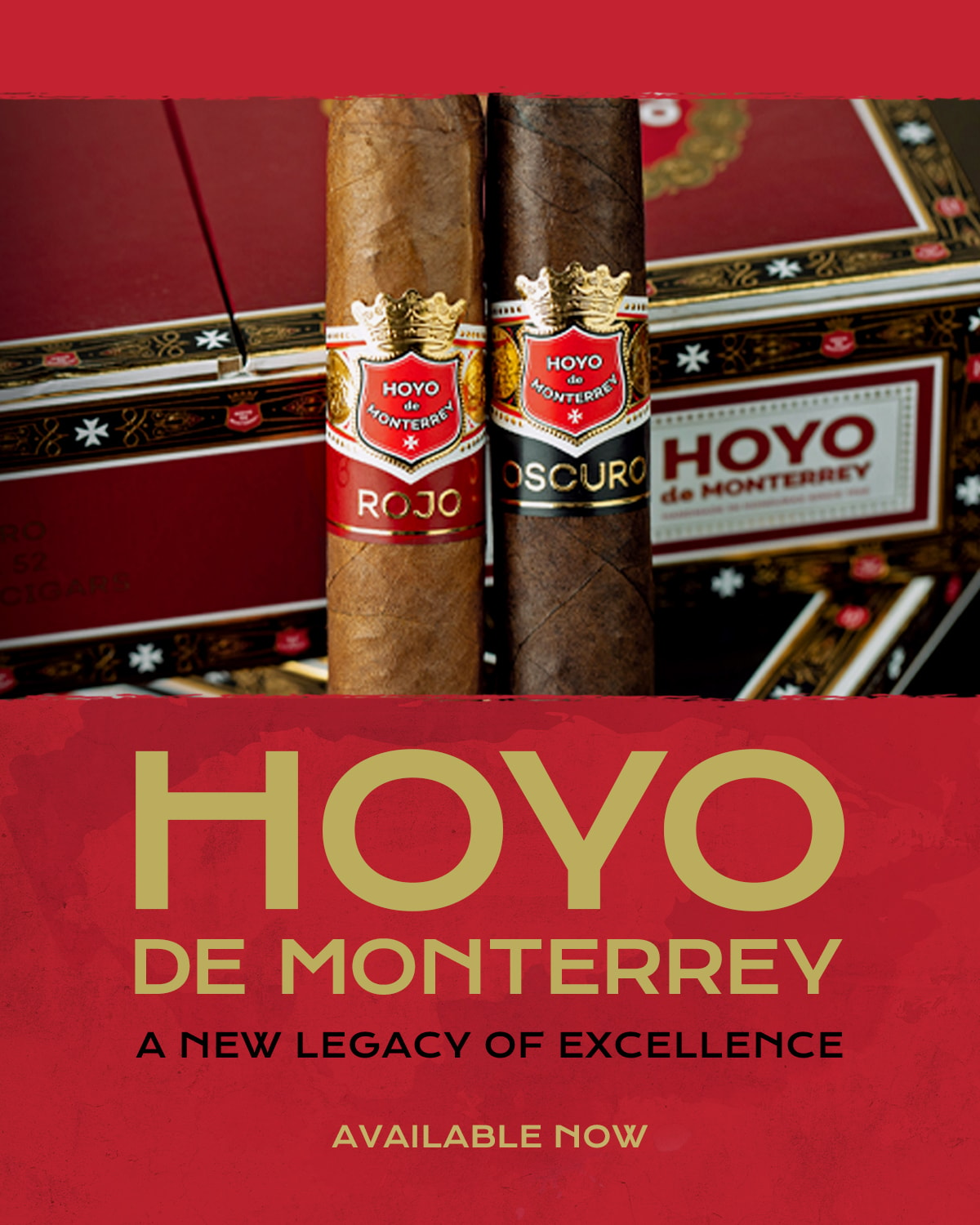 An illustration showing the journey of selecting the right Hoyo de Monterrey cigar, featuring various cigar types and traditional craftsmanship.