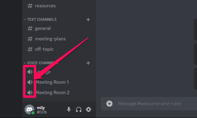 Image illustrating the voice channel speaker icon on Discord