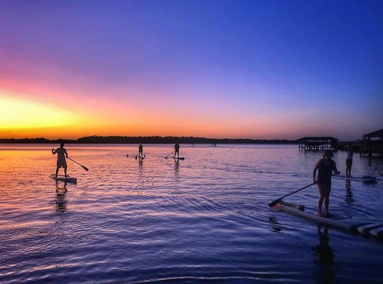 stand up paddle boards 
