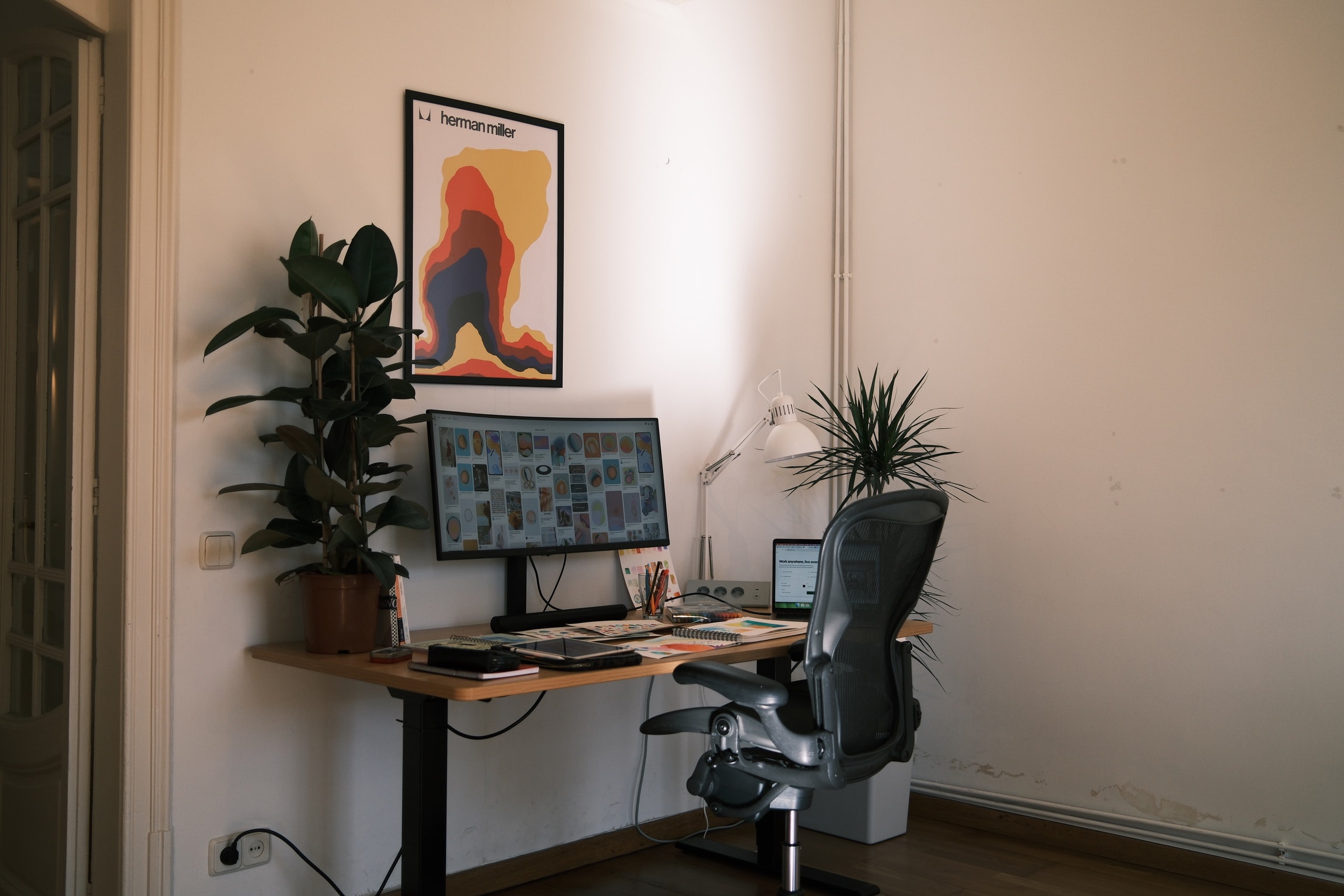 Professional profile example