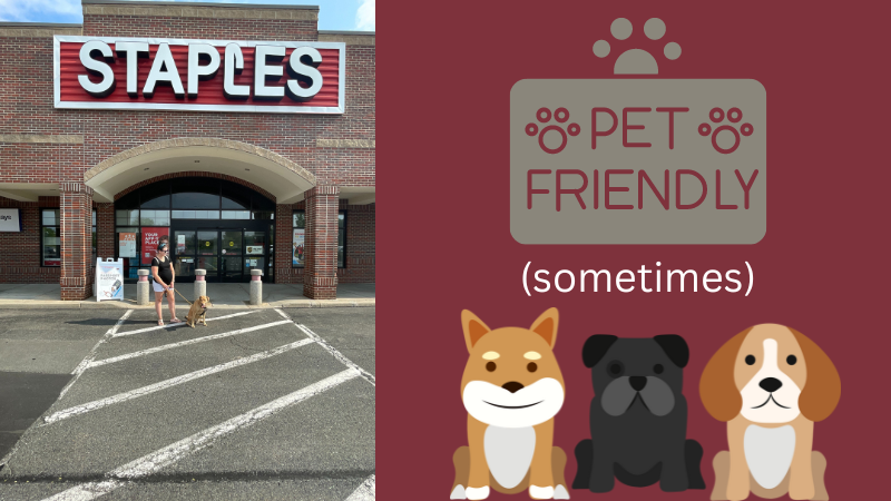 Image showing a woman with a leashed dog in front of Staples. Caption to the right says "Pet Friendly (sometimes)" with cartoon dogs below it. 