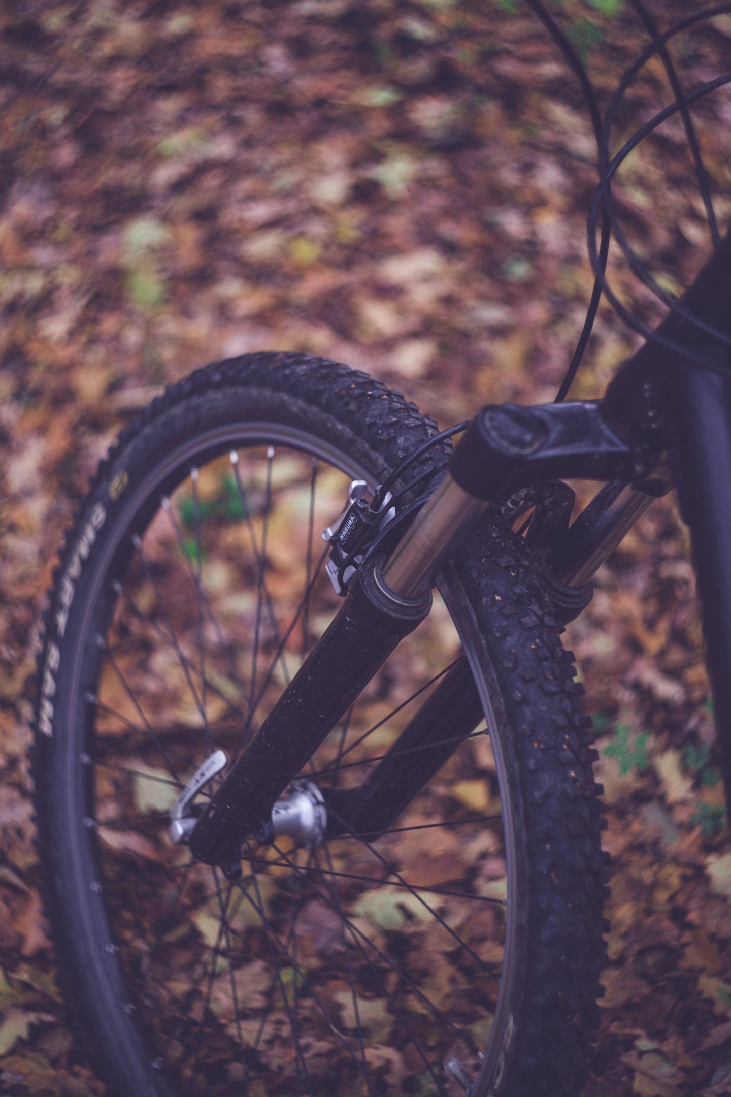 Bicicleta com freio v-brake. Foto de Markus Spiske, Pexels.