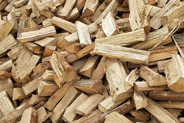 What are the best firewoods?