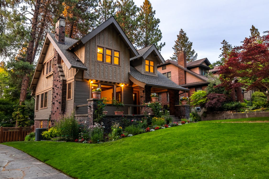 Fabulous Home with Refreshing Plants | Photo from Pexels