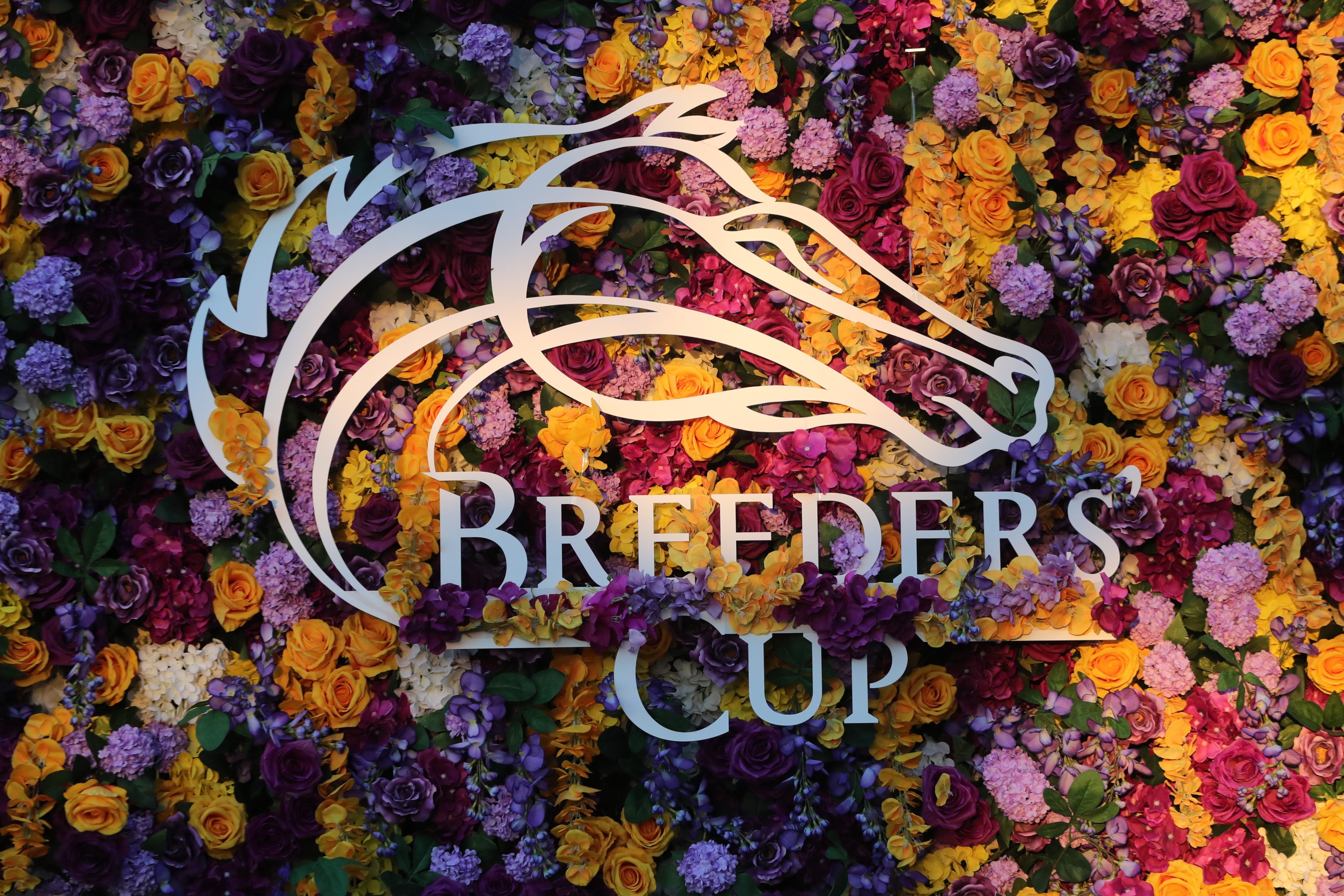  Breeders Cup logo sign at Santa Anita Park on November 3, 2023 in Arcadia, California.