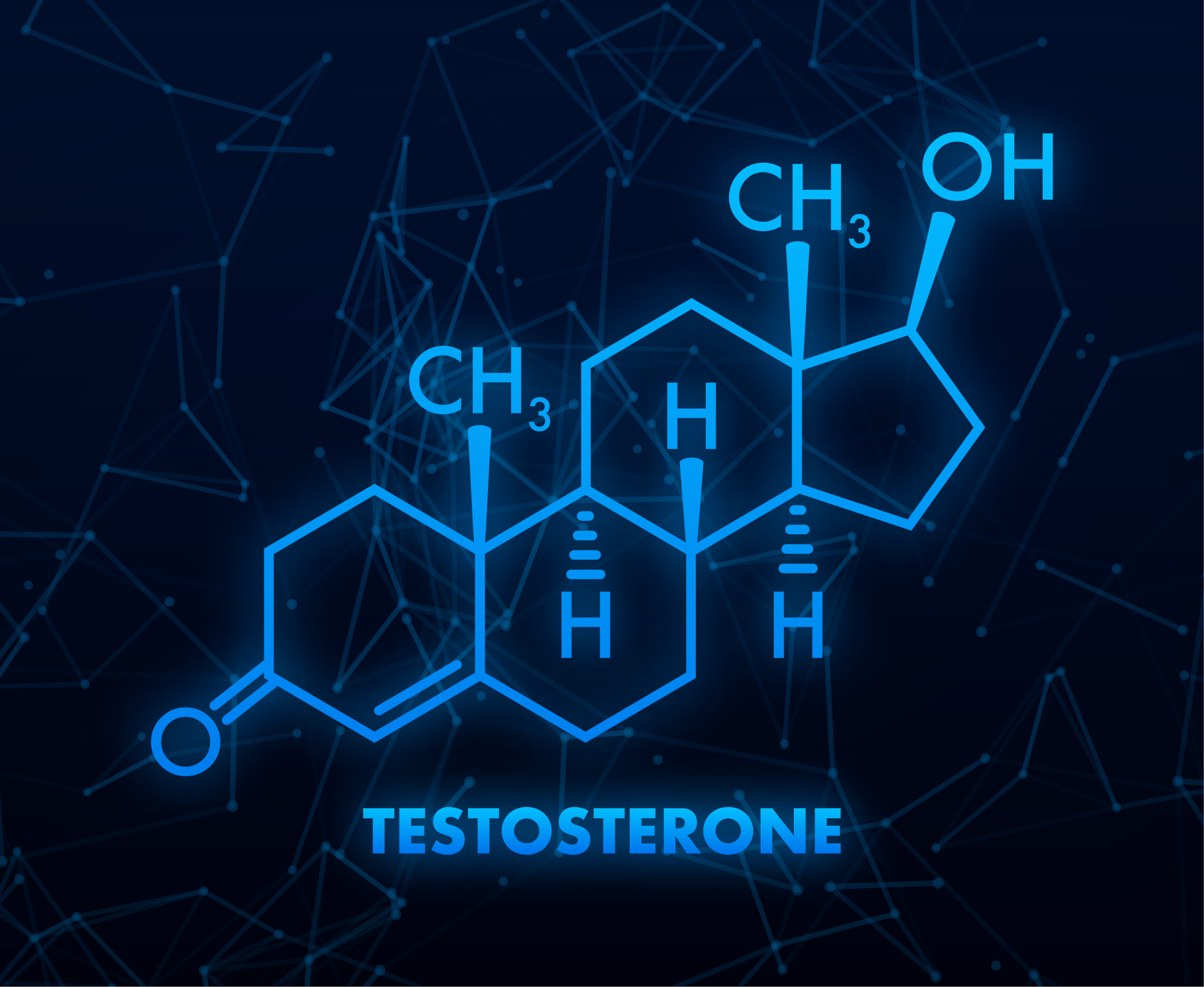 La testosterona es la principal hormona sexual de los hombres.