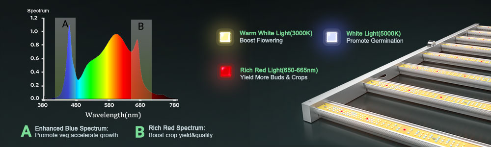 the full spectrum lighting design of fc6500