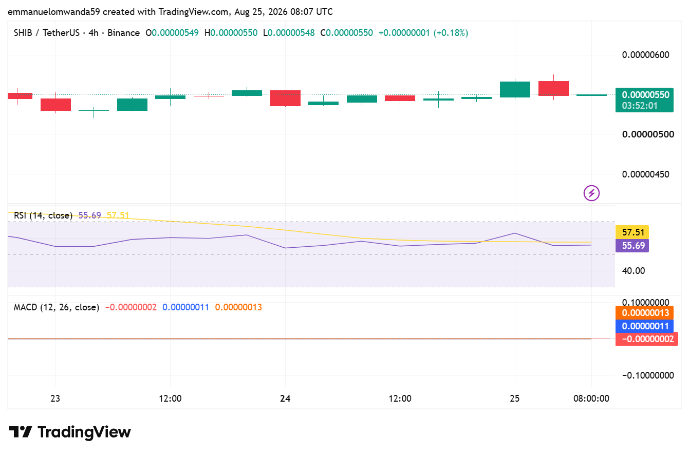 Graphique SHIB/USDT : TradingView