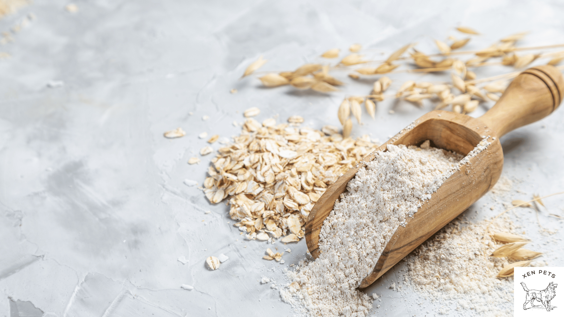 Is whole wheat outlet flour bad for dogs