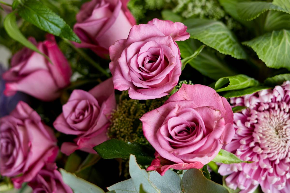 Sending quality fresh flowers, pink roses and pink crysanthemums, day flower delivery from Fabulous Flowers