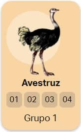 avestruz no jogo do bicho