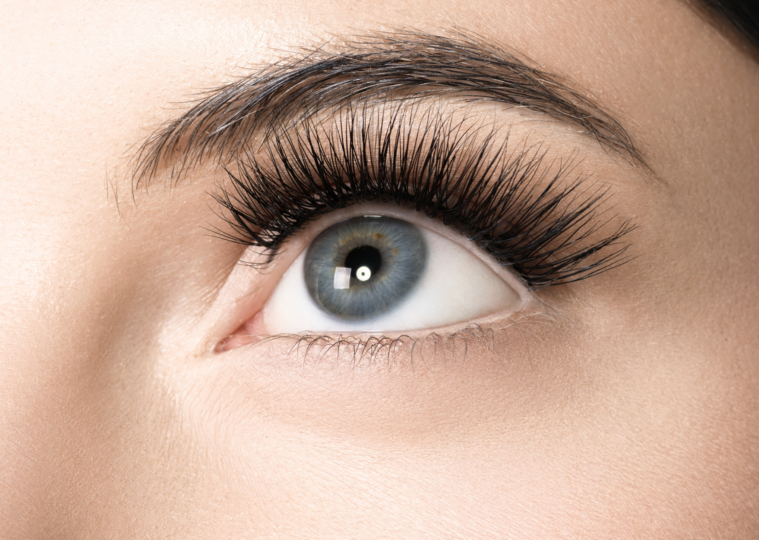 You can apply mascara to fill in any gaps where the lash fibers have shed.