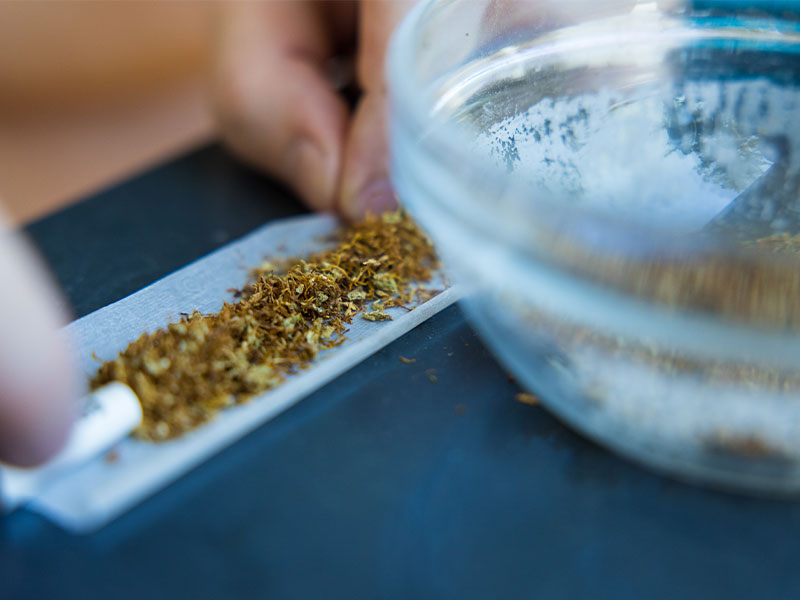 Closeup shot of a person preparing a weed blunt with rolling paper and a smoking filter.