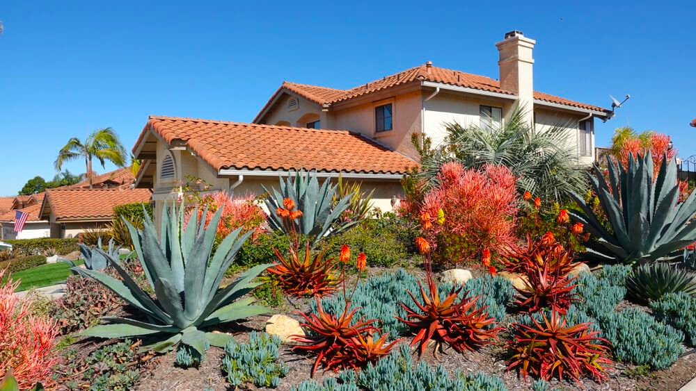 jardín con plantas, programas de diseño de jardines
