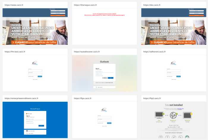 Ceeyu website and subdomain enumeration