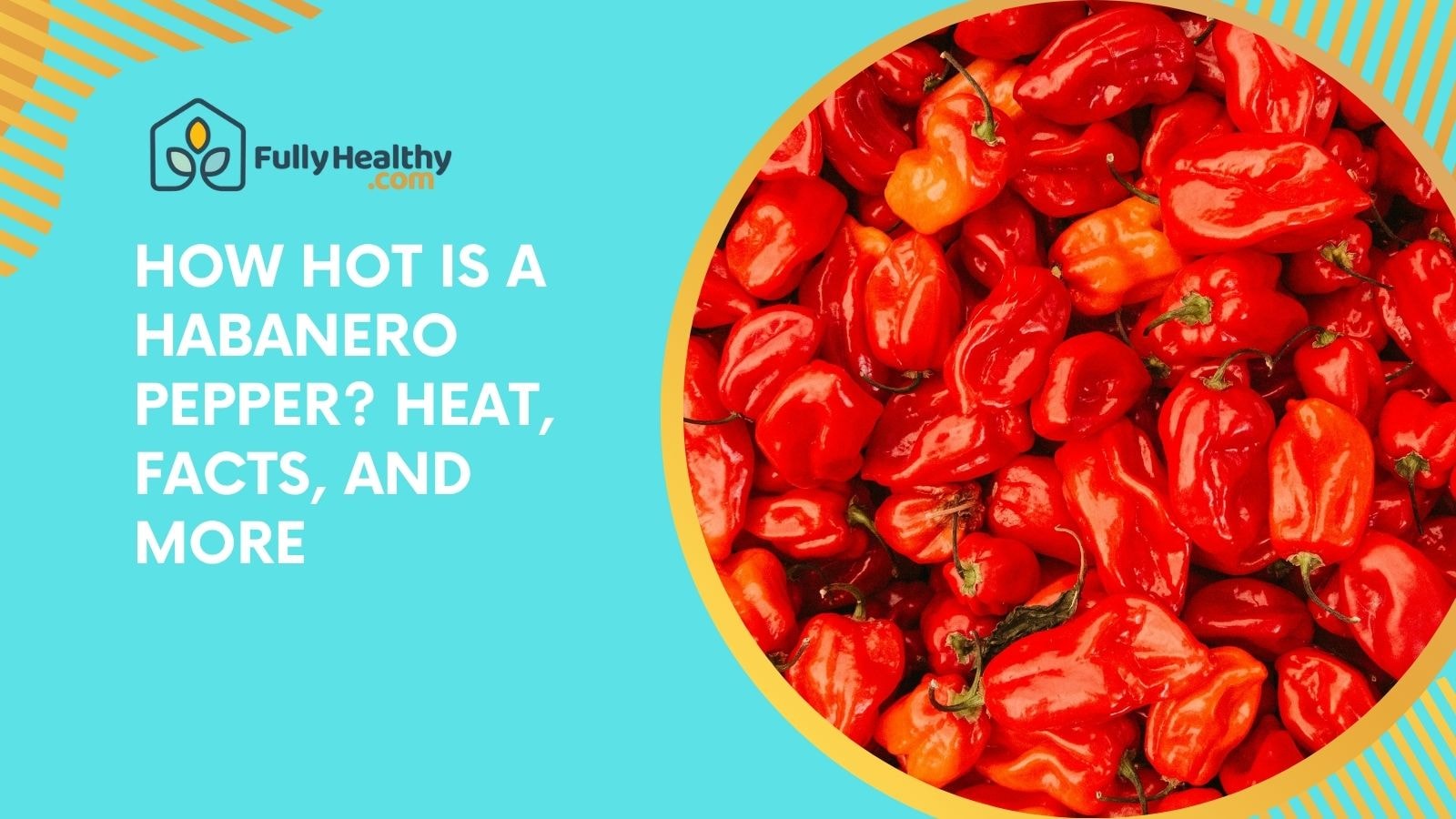 How Hot Is a Habanero Pepper? Heat, Facts, and More