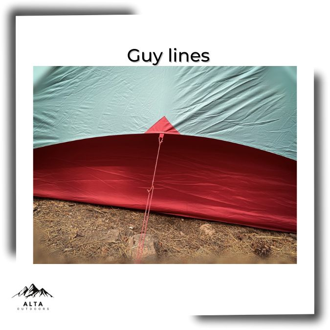guy lines