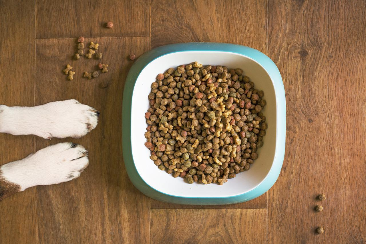 dog or pet food is one of the many things to take into account when considering what attracts cockroaches. a photo of a bowl on the ground with dog food
