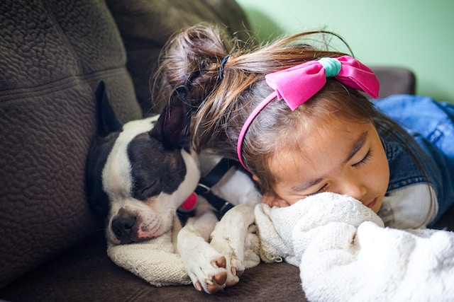 Girl Sleeping With Her Dog In The Sofa