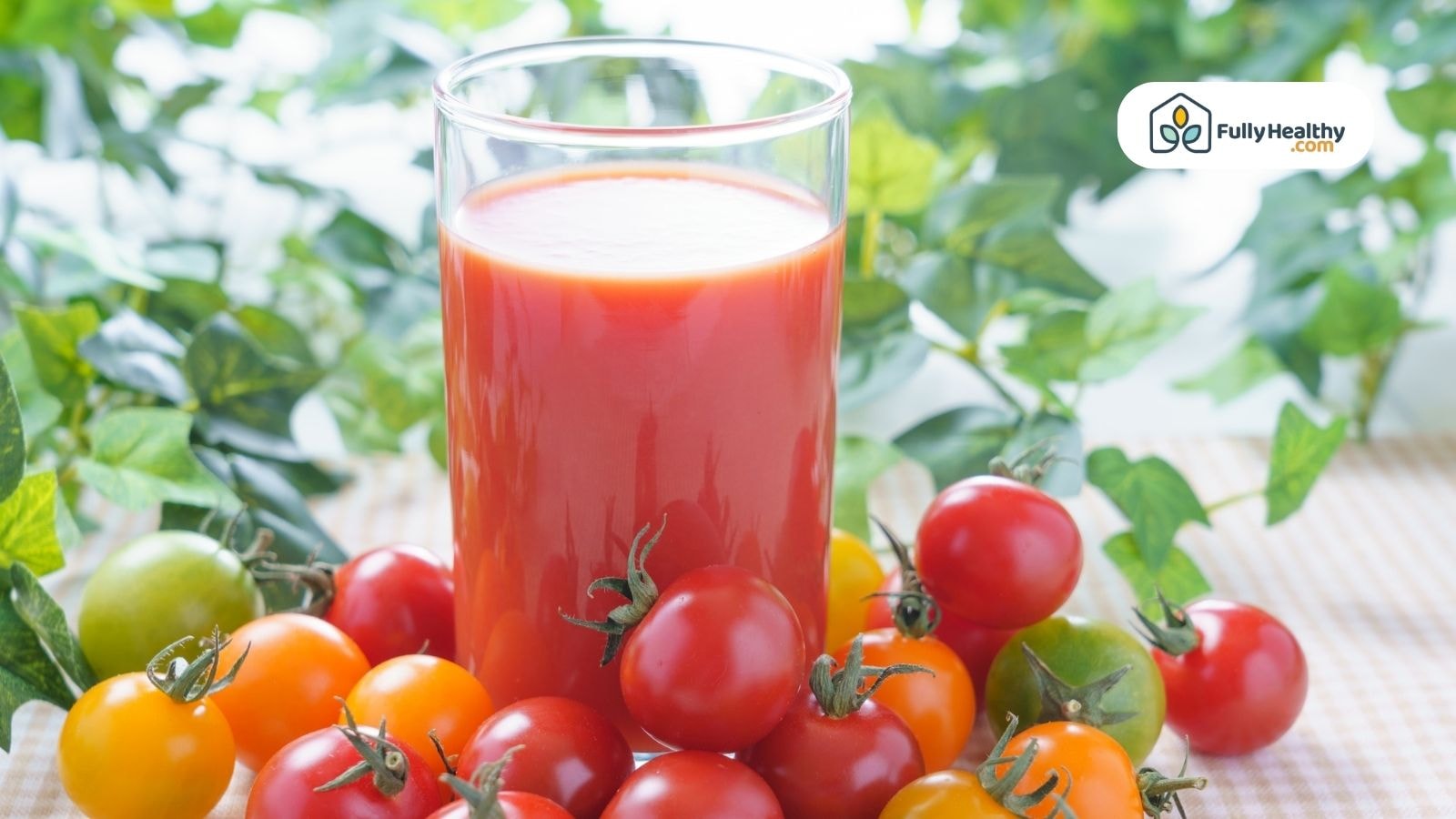 Glass of tomato juice surrounded by colorful cherry tomatoes