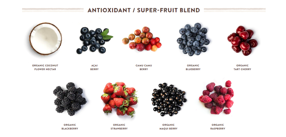 Kachava Review Protein Meal replacement, ingredients & Coupon Codes