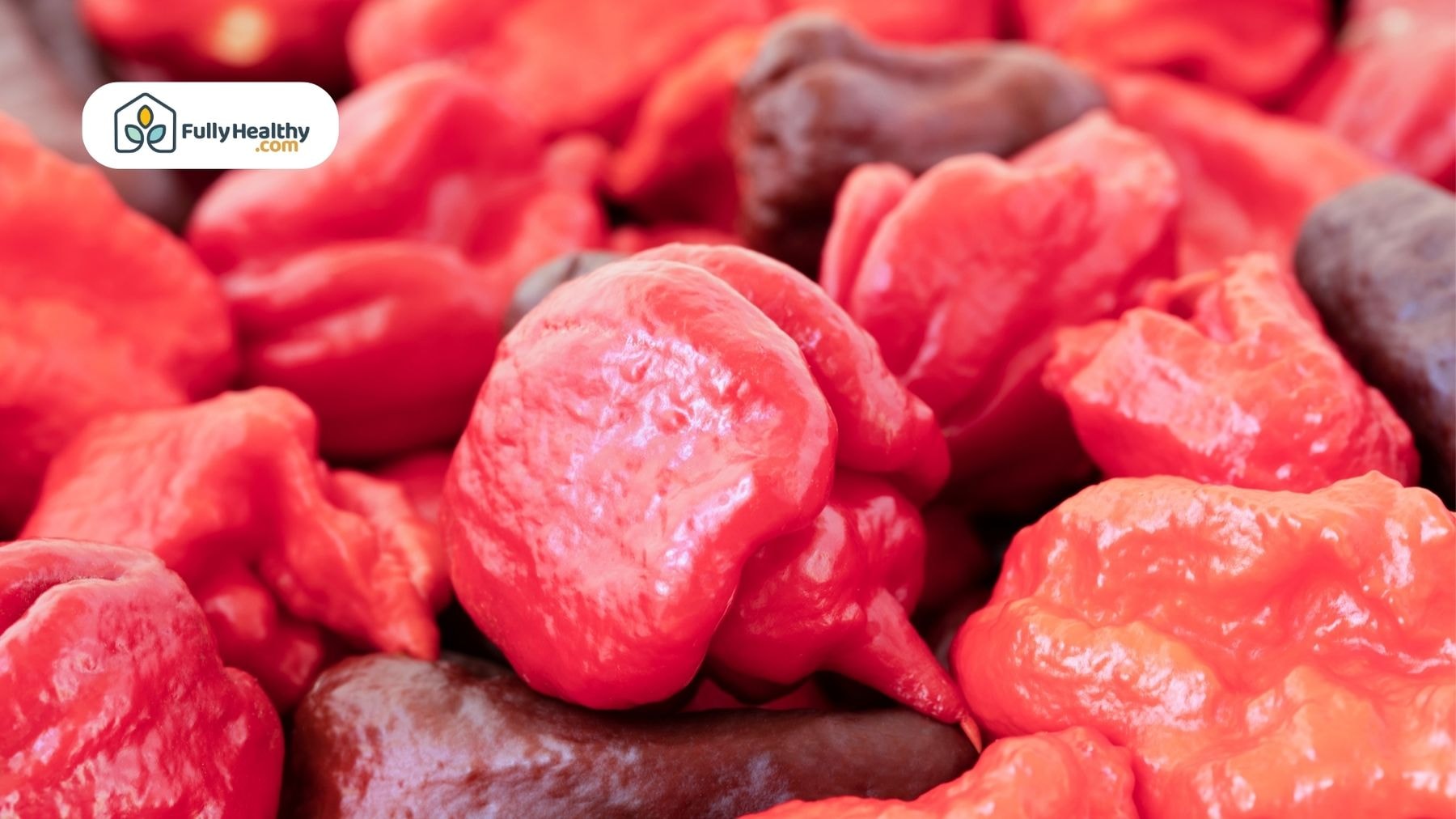 Close-up of red and dark Carolina Reapers with wrinkled texture