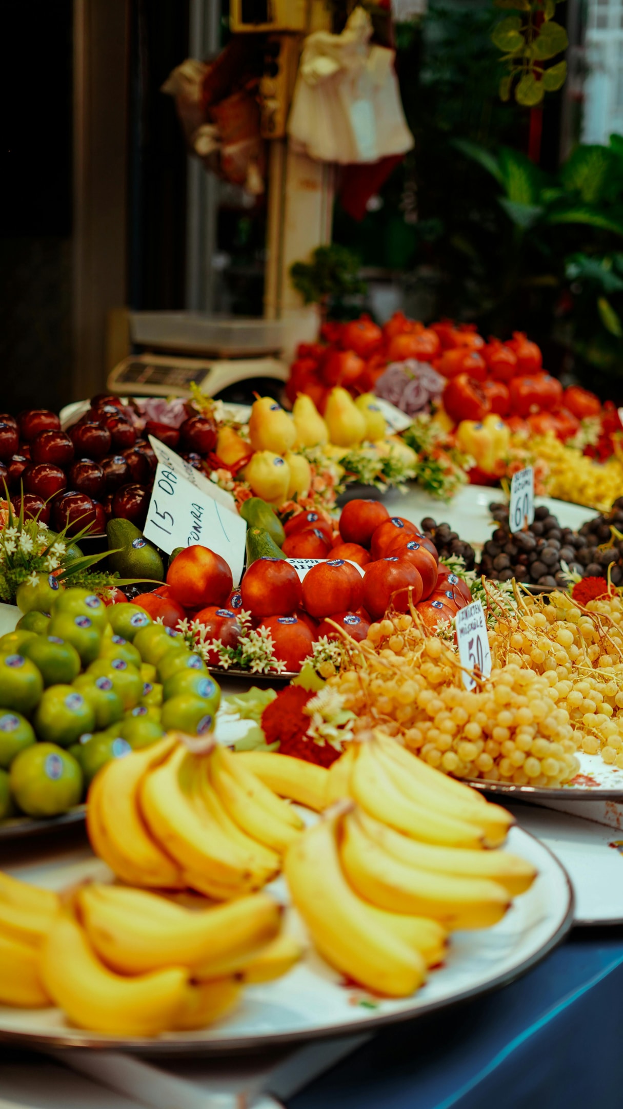 A vibrant illustration of high-fiber foods including fruits, vegetables, and whole grains.