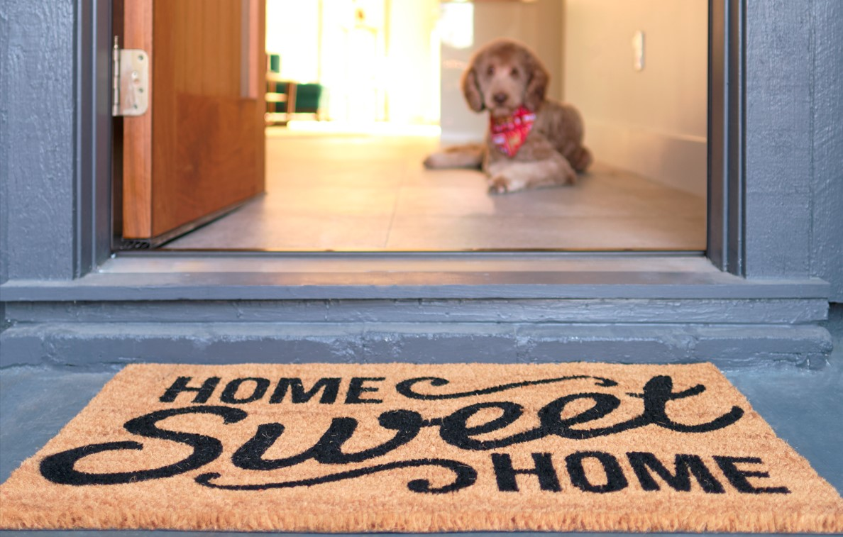 Dirt Trap Pet Doormat - House of Pets