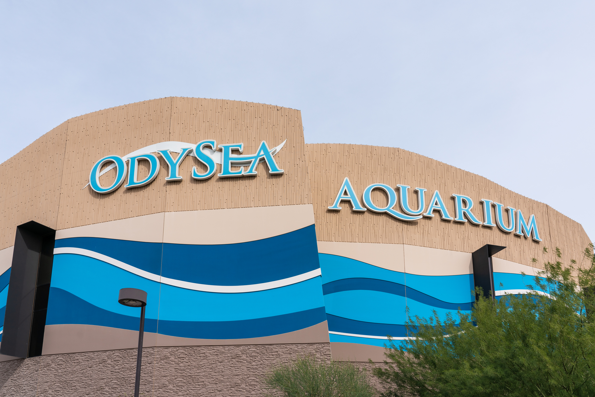 OdySea Acquarium in Scottsdale, Arizona
