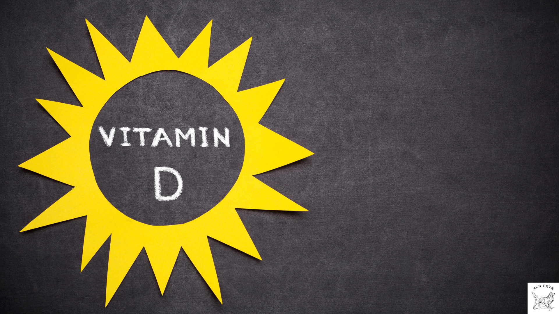 Vitamin D for dogs