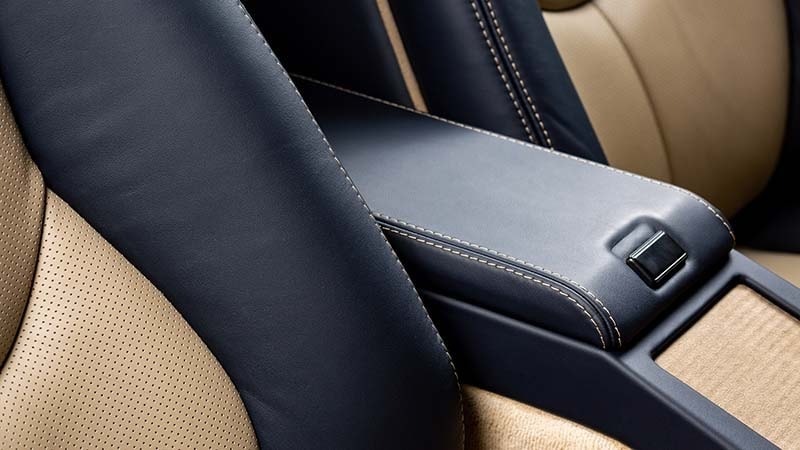 black and tan car seat