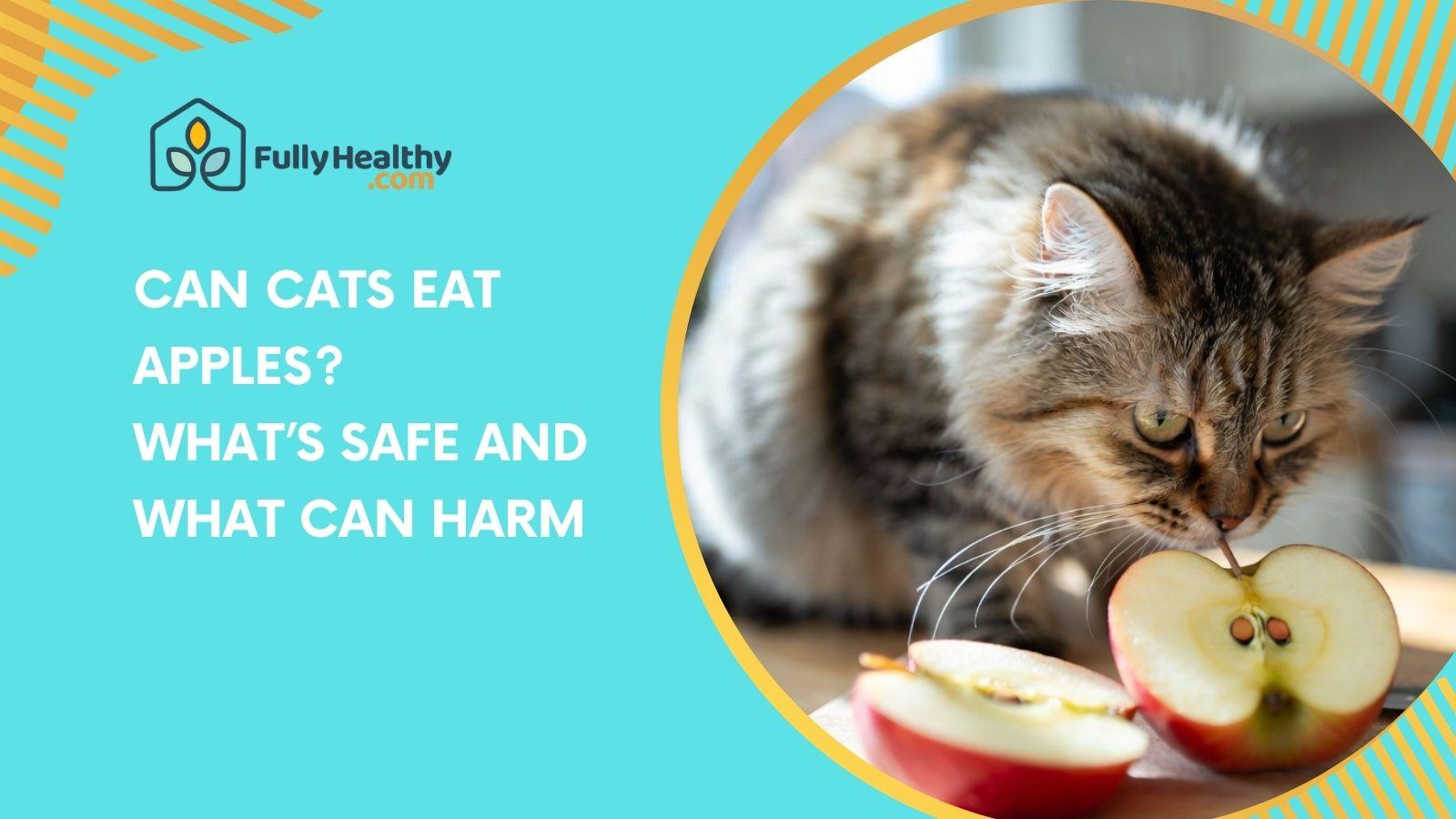 Can Cats Eat Apples? What’s Safe and What Can Harm