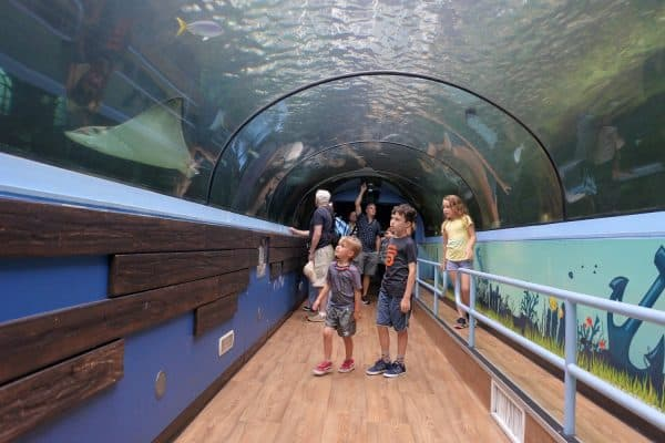 family walking through an aquarium tunnel